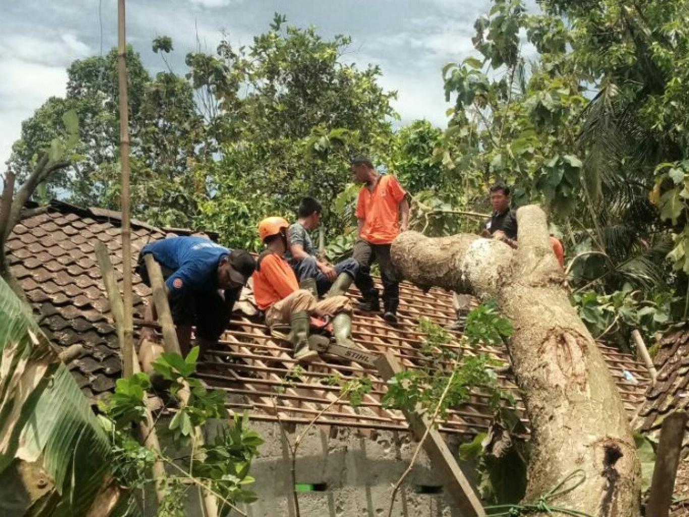 Warga Bedukan, bersama SAR Gotongroyong Evakuasi Pohon Tumbang